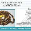 Arihant Gems & Jewels Tiger Eye Jaap Mala 108+1 Beads for Pooja (Astrology) (108+1 Beads) 100% Original & Certified. - Image 6