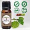 All Naturals Patchouli Essential Oil (India) 100% Pure Undiluted Therapeutic Grade - 15Ml - Image 3