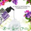 Lux Botanicals Skin Renewal Shower Gel Natural Extracts, No Paraben - 450 ml /15.2 Fl.Oz - Image 5