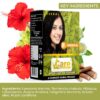 VCare Natural Herbal Hair Dye Powder | Apply for Dry Hair |100% Organic Henna Black Dye Hair Color Boost Shine and Hair Growth - 60 gm (Pack of 5) - Black