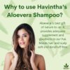 Havintha Natural Amla Reetha Shikakai And Aloevera Powder Shampoo For Oily Hair| Organic Powder for Hair Growth - Image 4