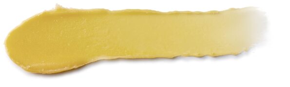 Burt's Bees Lip Balm, Rescue Lip Balm with Beeswax & Antioxidant-Rich Turmeric, Promotes Healing of Extremely Dry Lips, Cooling Eucalyptus, All Natural (2 Pack)