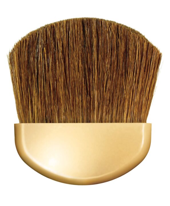 Physicians Formula Argan Wear Ultra-Nourishing Argan Bronzer, Light Bronzer, 0.38 Ounce